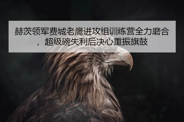 赫茨领军费城老鹰进攻组训练营全力磨合，超级碗失利后决心重振旗鼓